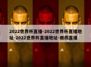 2022世界杯直播-2022世界杯直播地址-2022世界杯直播地址-雨燕直播