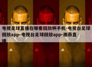 电视足球直播在哪看回放啊手机-电视台足球回放app-电视台足球回放app-雨燕直播